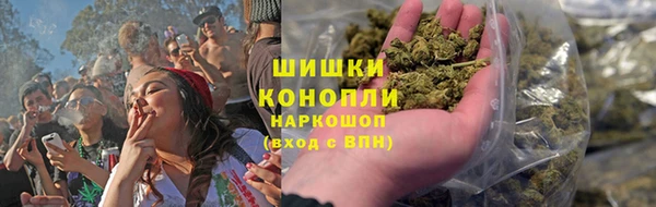 спайс Арсеньев