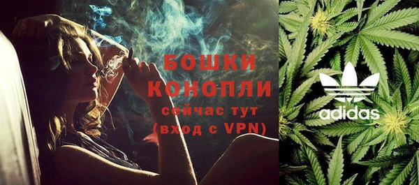 спайс Арсеньев