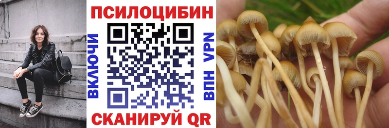 Псилоцибиновые грибы Psilocybe  Лобня 